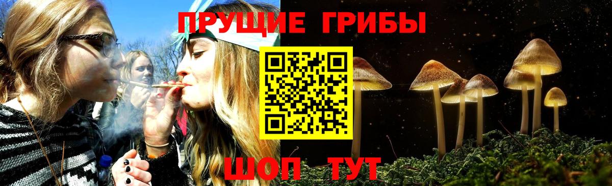 Галлюциногенные грибы MAGIC MUSHROOMS  Вход с VPN  Псилоцибиновые грибы Psilocybe  Изобильный 
